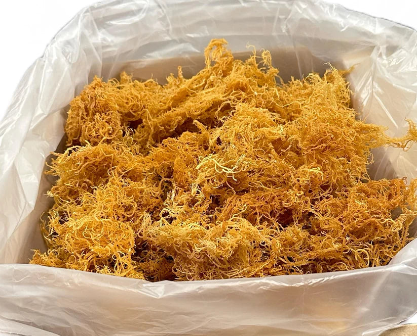 4oz. Sea Moss